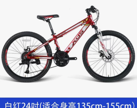 【55盛典价】喜德盛山地车自行车21速24...