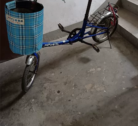 折叠自行车，很好骑很轻巧方便，坐垫是新换的...