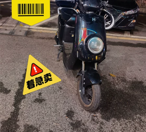 哈啰棒途e13   48v  2，疫情着急...