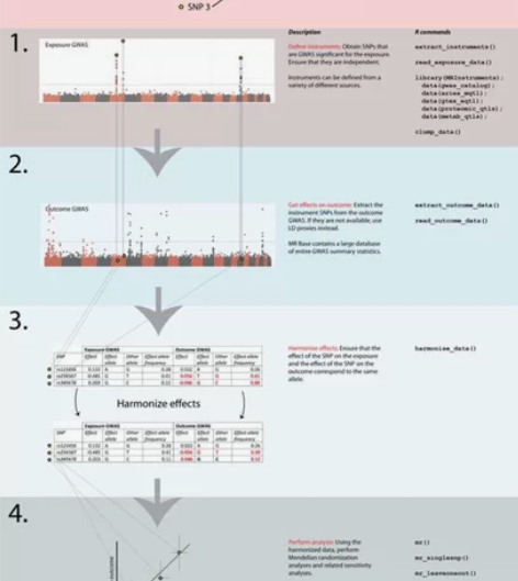 数据分析 /答疑 孟德尔随机化 power...