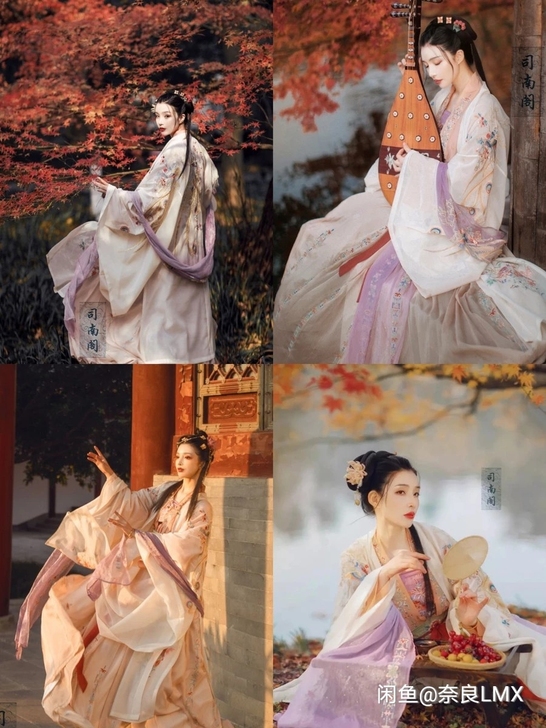 出租司南阁花凰