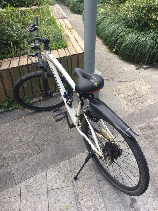 永久自行车，闲置不骑了，坐标上海杨浦区