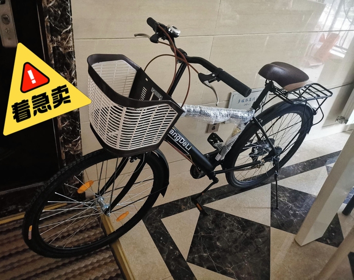 【捡漏】全新永久同款自行车成年轻便上班骑行...