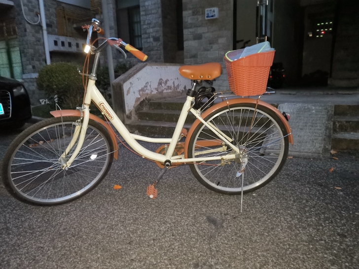 永久牌自行车女单车轻便上班骑通勤26代步学...