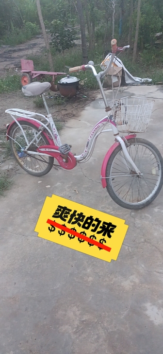 东营自提