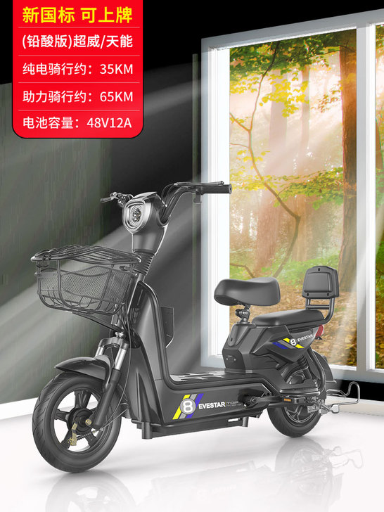 耀海新国标电动车小型亲子代步电瓶车男女成人...