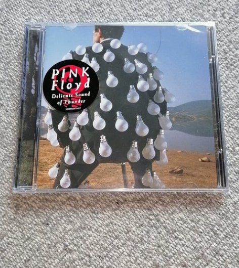 平克Pink Floyd Delicate...