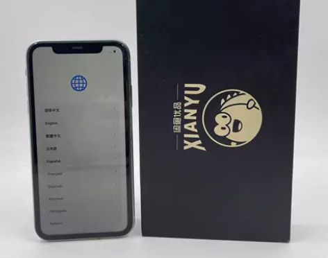 Apple/苹果 苹果 iPhone 11...