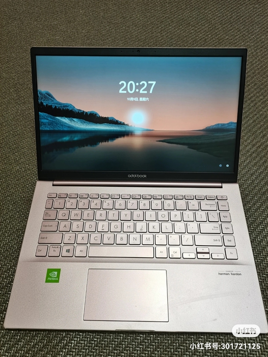 20年6月份买的华硕a豆 i5 8g 51...