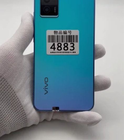 vivo S10e 5G手机8+256正常...