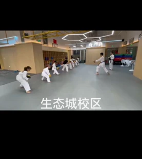 奥思武道 空手道 跆拳道 52节课时。 孩...