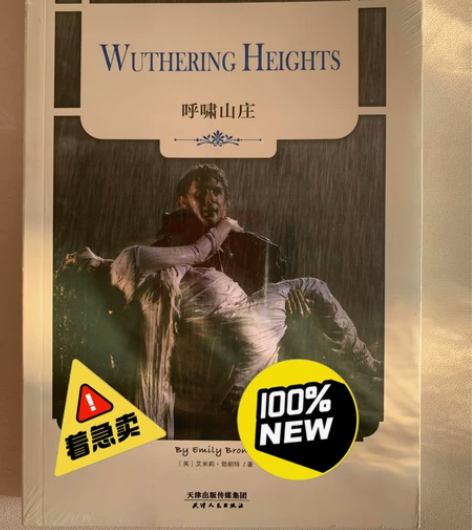 全新正品英文版小说，京东正品购入，全新未开...