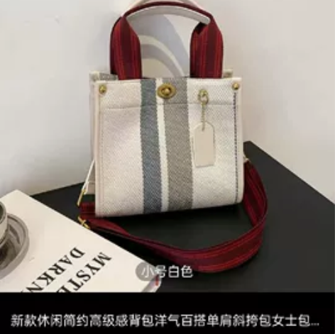 全新未拆封！新款休闲简约高级感背包洋气百搭...