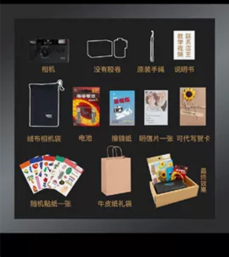 德国VIBE 501F相机 非一次性复古胶...