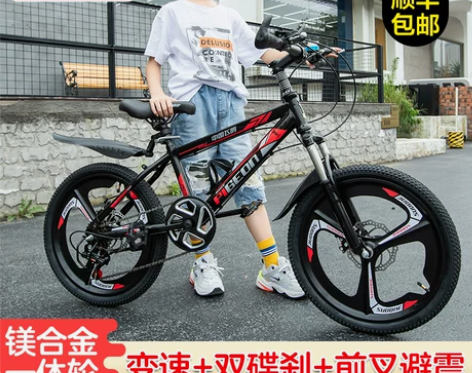 飞鸽儿童自行车，18寸的！看下面转卖链接2...