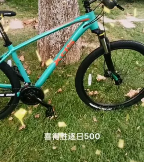 喜德盛山地车！ 感兴趣的话点“我想要”和我...