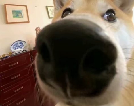 火影忍者接周胜ios安卓都接2r 每日活跃...