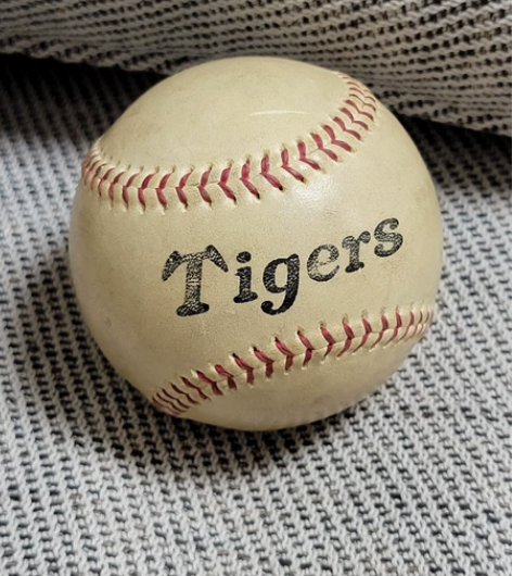 阪神虎队练习棒球，实际使用过的野球，去甲子...