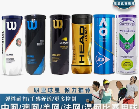 Wilson威尔胜 Roland Garr...