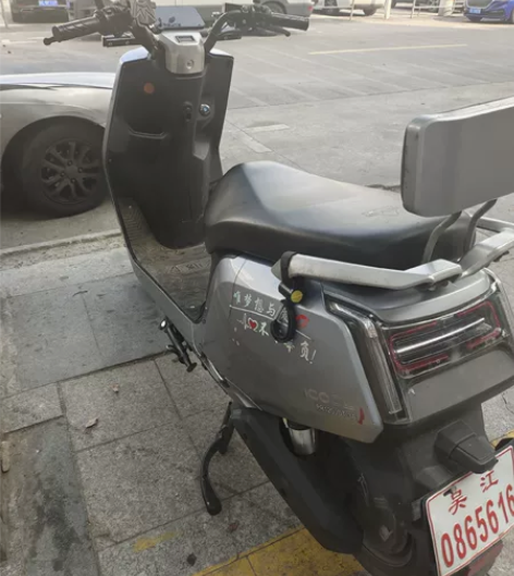 PALLA 新大洲 PR1200DT 电动...
