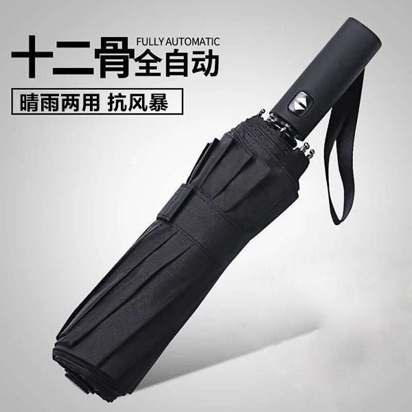(免费送)南方生活全自动雨伞十二骨/十骨/...