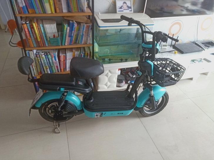 转让刚买一年多的倍儿捷电动车，保养的很好，...