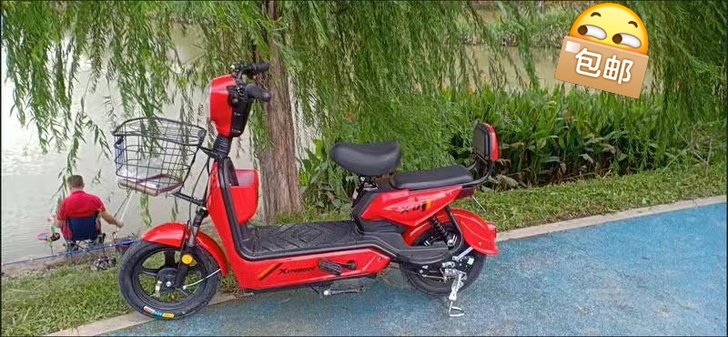 全新包邮 新国标电动车厂家直销电瓶车电单车...