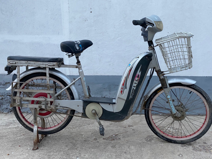 王派电动车电瓶车新国标电瓶48V代步电单车...