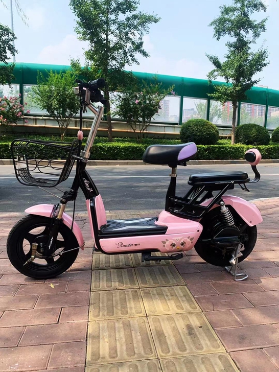 爱玛电动车国标二手电单车九成新充电自行车男...