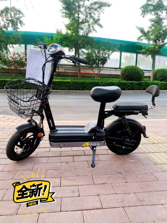 捷踏电动车电单车大牌品质48v12a铅酸电...