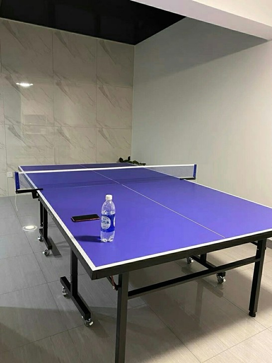 捡漏价处理一批可折叠乒乓球桌乒乓球桌球台家...
