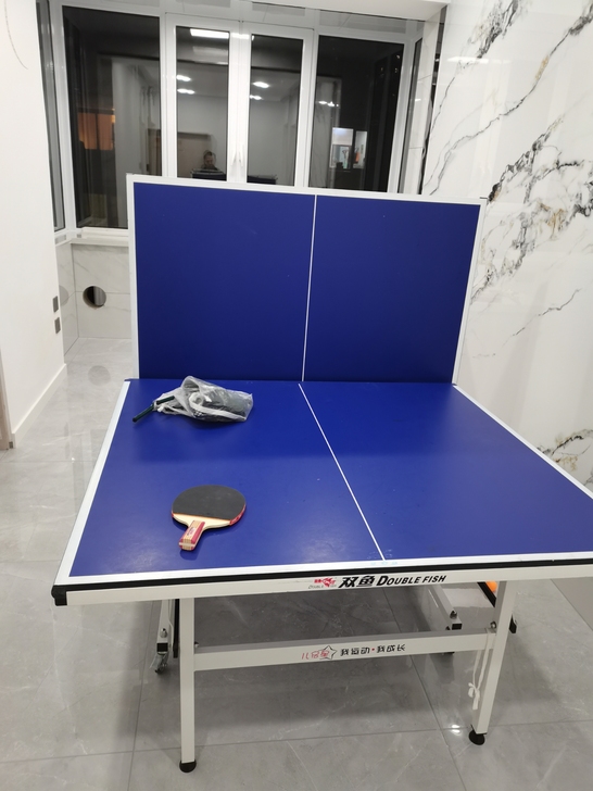 双鱼乒乓球桌 1.2x2.4