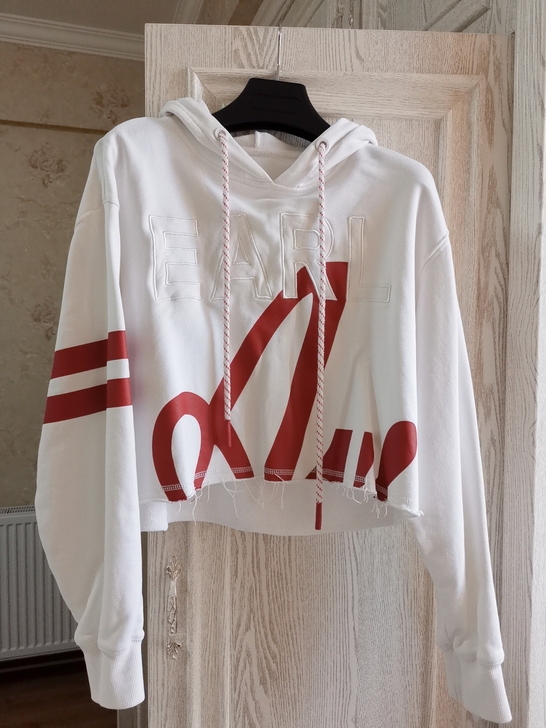 Zll连帽卫衣,s码,9新,商场专柜购入,...