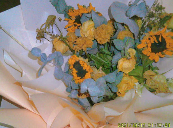 【双十一特价】全新 4400万像素佳能宝丽...