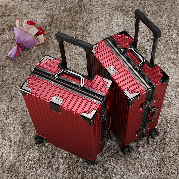 六只红袋鼠 旅行箱