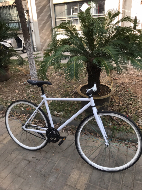 死飞公路自行车