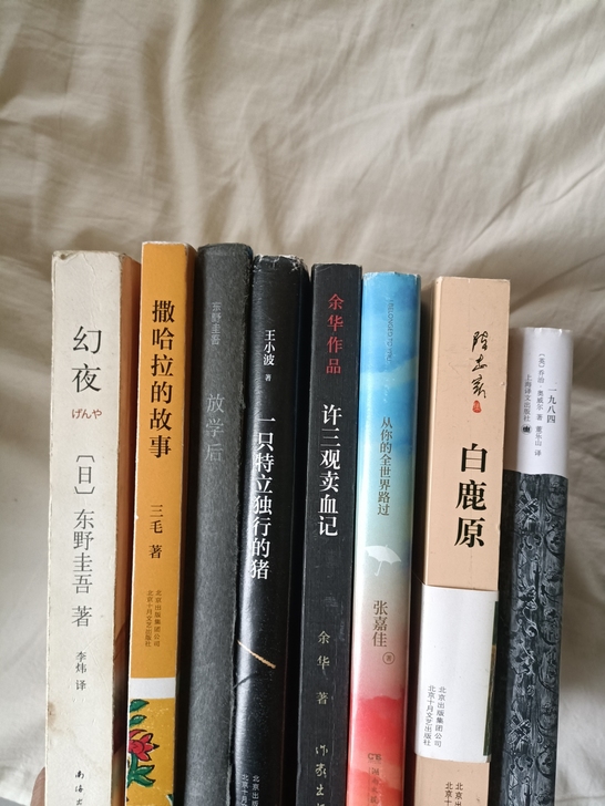 东野圭吾  放学后  幻夜(成色一般)