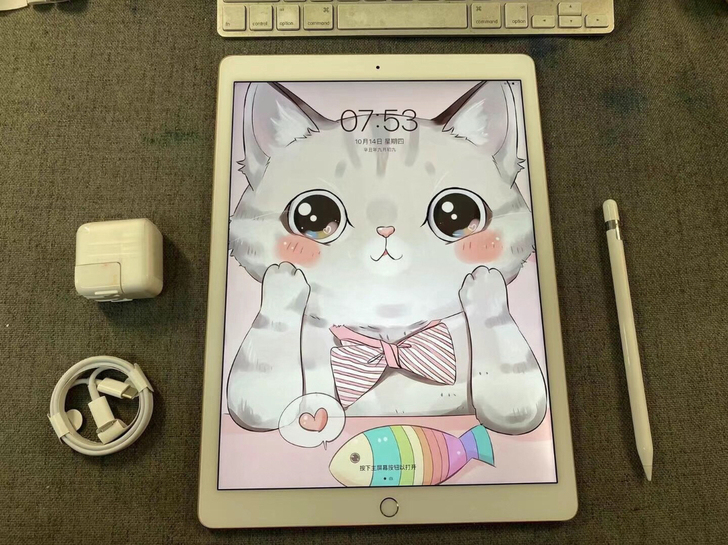 【闲置自用便宜出】2019款 ipad ...
