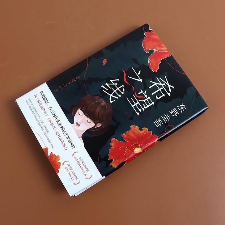 希望之线 精装 东野圭吾恶意系列高口碑新书...