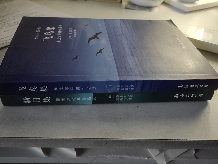 课外阅读《泰戈尔诗集》闲置转让，15块钱江...