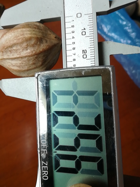 25+四花大核，核质包牛