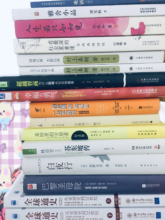 全球通史，巴黎圣母院，苏东坡传，麦田里的守...