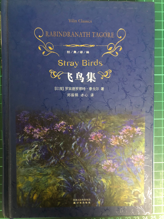 飞鸟集，译林出版社，9成新