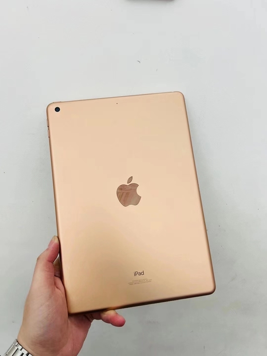 Apple iPad 平板电脑