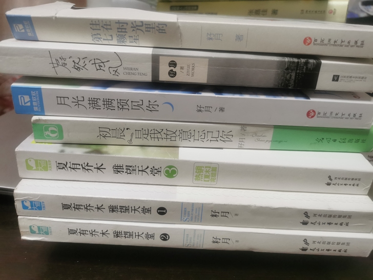 旧小说 青春文学