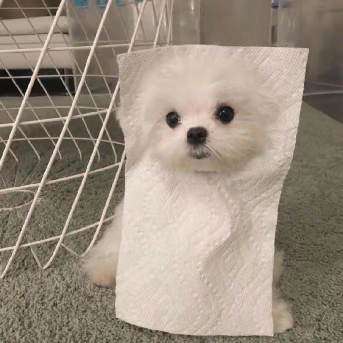!六级自学资源!!!需要的姐妹私我