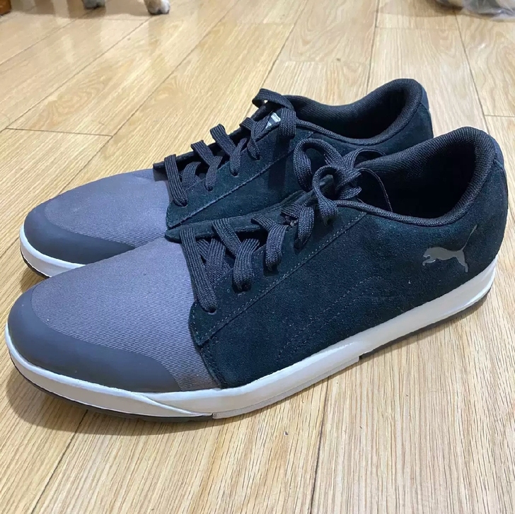 正品彪马全新休闲鞋。44.5码 ，290c...