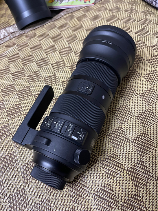 适马150-600sport版尼康卡口，去...