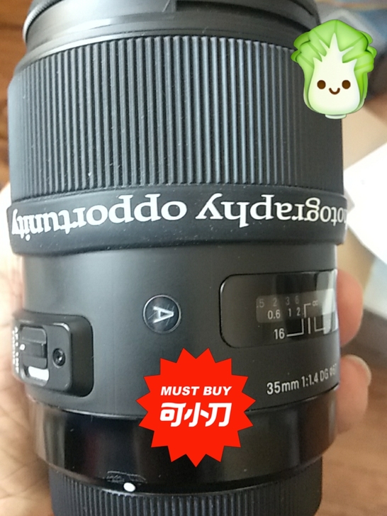 新款适马351-4定，无跑焦，99新，出坑...