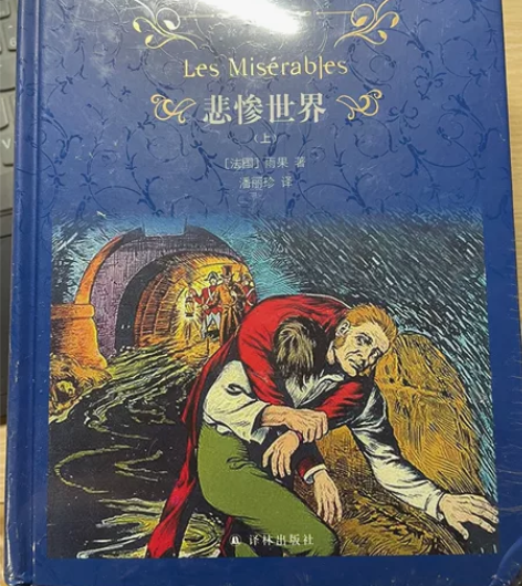 《悲惨世界》雨果著 上下两册 全新未拆封 ...